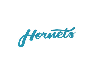 Hornets brush lettering calligraphy charlotte hornets hornets nba tombow typography