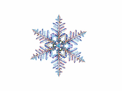 Snowflake graphic design logo vector плакат