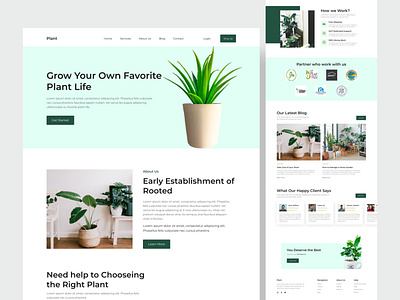 Plant Landing Page Design