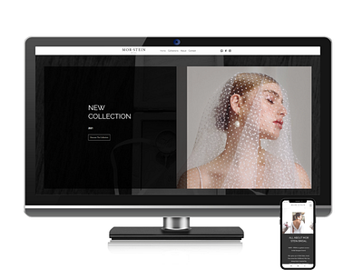 Mor-Stein design ui ux web design webdesign website