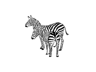 Zebraz animals black and white digital drawing equines illustration wild zebra