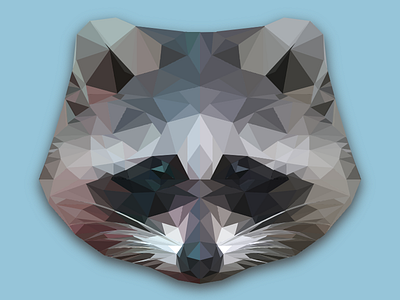 Low Poly Coon animal color geometric illustration low poly photoshop raccoon