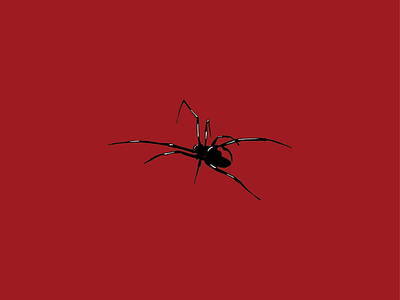 Black Widow animal arachnid color icon illustrator insect minimal spider vector venemous