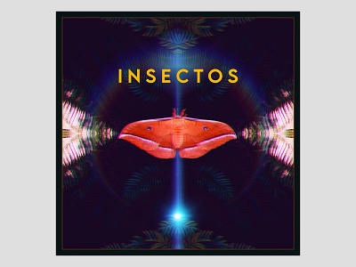 Insectos