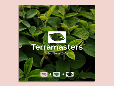 Logo Design [ Terramasters ] graphic design logo logo design