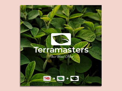 Logo Design [ Terramasters ]