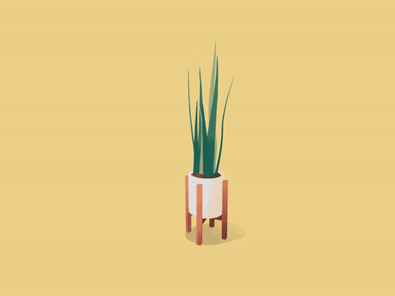 Day 17-18 Snake Plant 100daysofvr 100daysofvrbytx 3d houseplant motion graphics quill quillustration snake plant the100dayproject virtual animation vr
