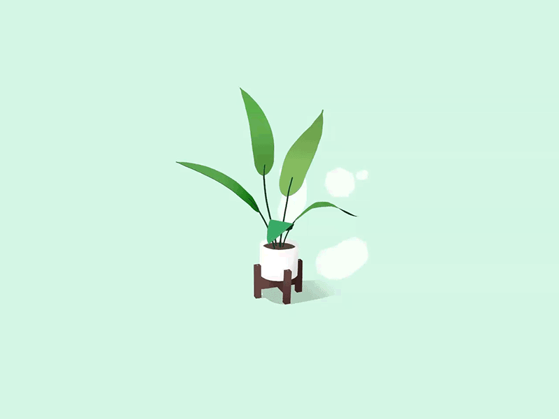Day 23-24 Bird of Paradise 100daysofvr 100daysofvrbytx 3d bird of paradise houseplant oculus quill quillustration the100dayproject virtual animation vr
