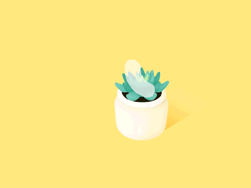Day 29-30 Succulent 100daysofvr 100daysofvrbytx 3d houseplant oculus quill quillustration succulent the100dayproject virtual animation vr