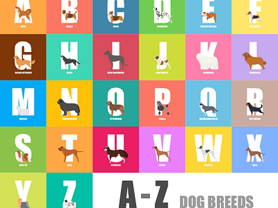 Dog Alphabet 100daysofvector 36daysoftype alphabet dog dogalphabet illustration sketchapp the100dayproject vector