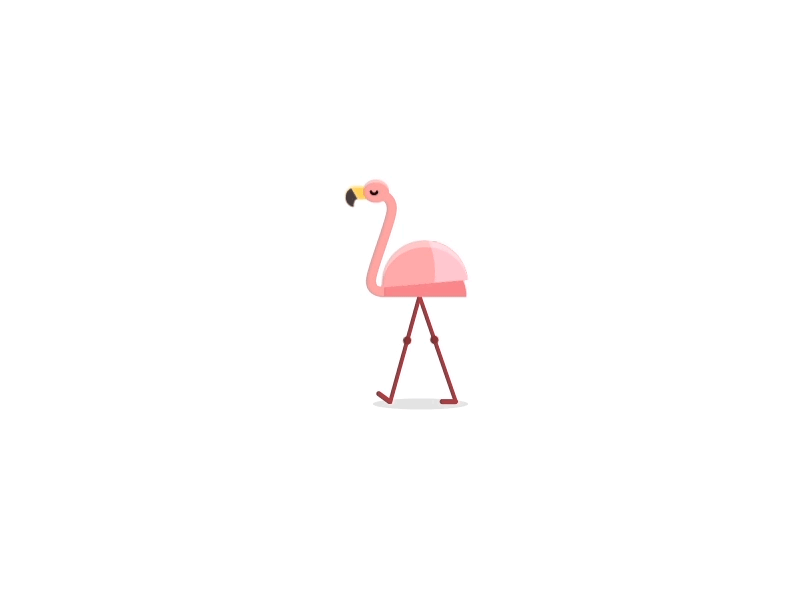 Day 47-48 Flamingo 100daysofmotion aftereffects animation flamingo motion the100dayproject walk cycle