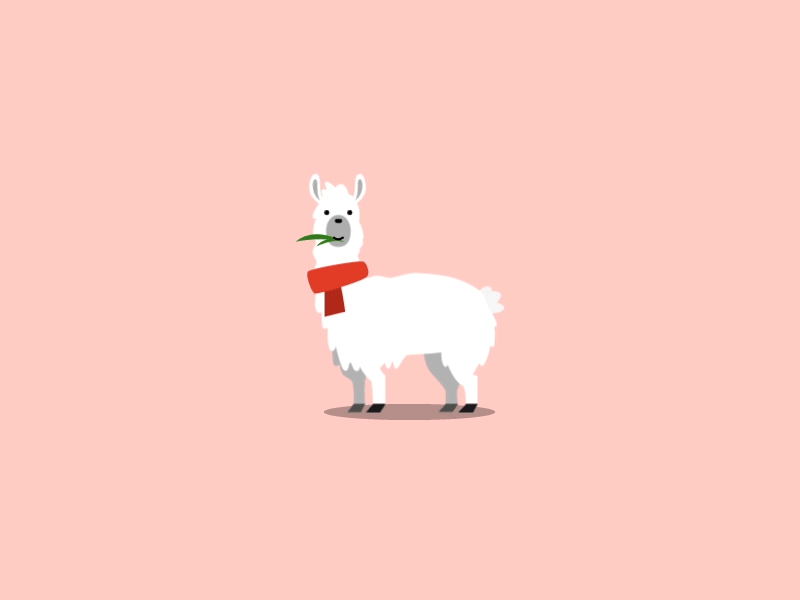 Day 69-70 Llama 100daysofmotion aftereffects alpaca animation chewing llama motion the100dayproject