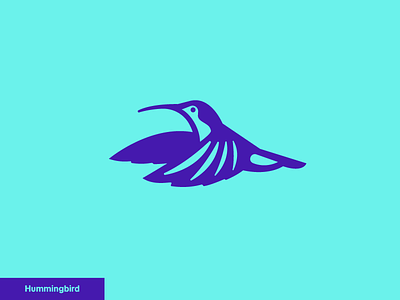 Hummingbird 4/24 icon logo nature