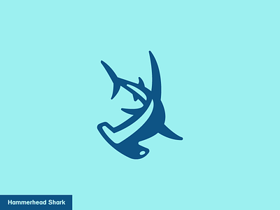 Hammerhead Shark 6/24 animal fish hammerhead icon logo shark
