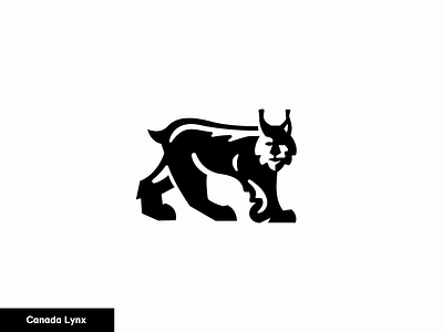 Canada Lynx 19/24 animal canada icon logo lynx