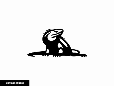Cayman Iguana 20/24 animal cayman icon iguana logo