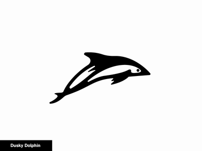 Dusky Dolphin 21/24 animal dolphin dusky icon logo