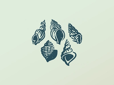 Shells branding drawing icon logo nature sea shell