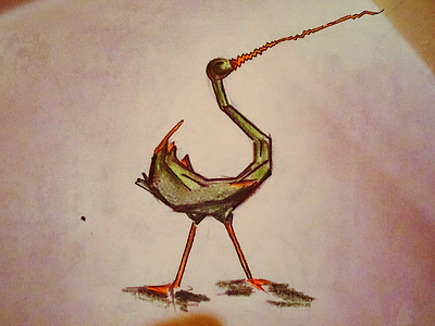 Stork abstract animal bird color illustration line skecth stork