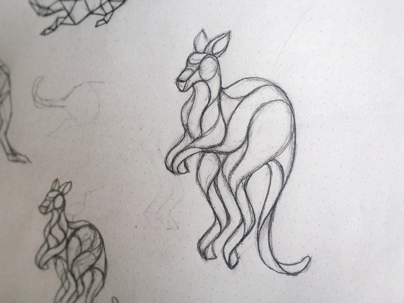 Kangoo Sketch illustration geometric polygonal poly lineart outline line sketch australia animal kangaroo