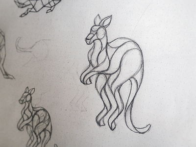 Kangoo Sketch animal australia geometric illustration kangaroo line lineart outline poly polygonal sketch