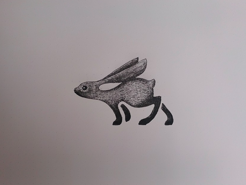 jumping hare drawing