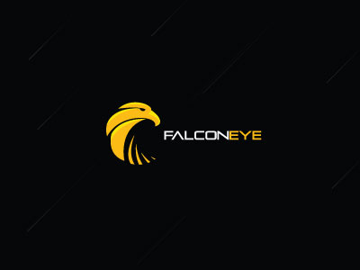 Falcon Eye bird eye falcon logo logo design sharp speed technology tribal yellow