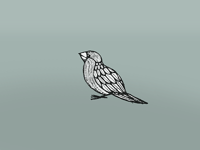 Bird Illustration animal bird feather ilustration sketch sparrow tweet wing