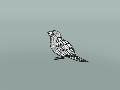 Bird Illustration