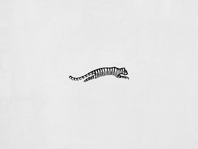 Tiger Texture animal illustration jungle logo sketch speed texture tiger