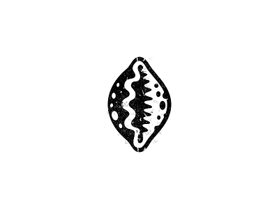 Cowry Shell