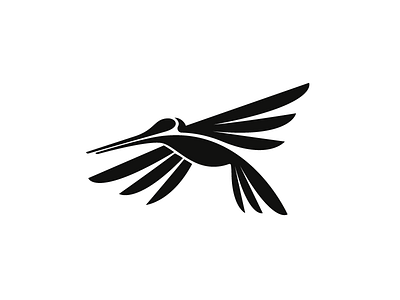 Hummingbird animal bird black fly hummingbird logo nature wing