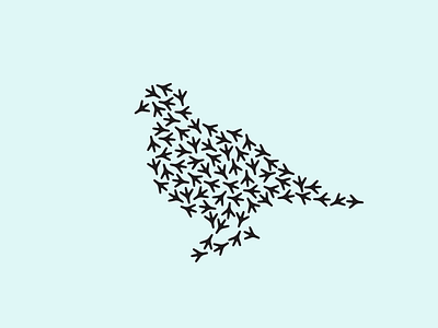 Pigeon animal bird foot illustration logo mark nature pigeon step