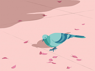 Pigeon afternoon bird fallen ground leaves leisure nature pigeon pink shadow warm