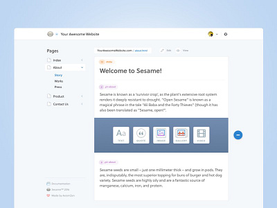 ​​Sesame app cms icons interface ui