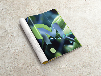 A4 Magazine / Booklet Mockup Vol. 1