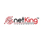 Netking Technologies