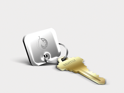 Key & Key Chain icon gold icon key key chain silver