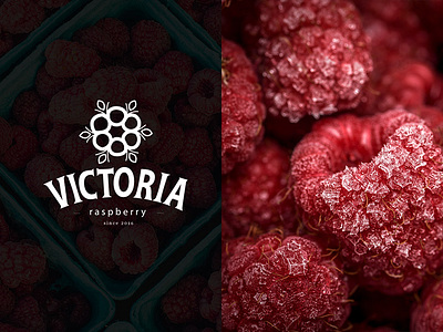 Victoria Raspberyy branding design fruit icon logo raspberry type typography
