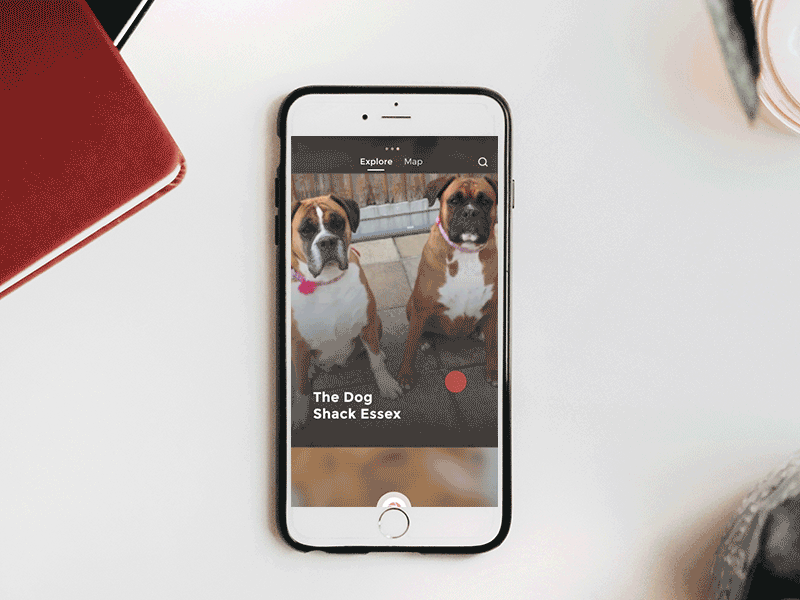 Pet Veterinary app aftereffects animation app dailyui design dog dribbble gif ios mobile pet app ui ui ux ux
