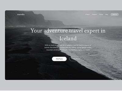 Landing page #003