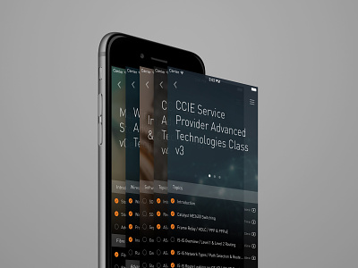 INE Mobile App - 2 ui