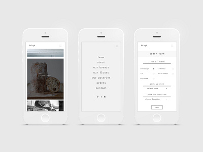 Fol Epi Mobile Screens clean food grid ios minimal mobile photography responsive typography