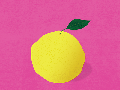 Yuzu Lemon! citrus illustration lemon magenta yellow yuzu