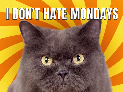 Hate Mondays app design appypie behance design dog graphic illustration illustrator meme mondays