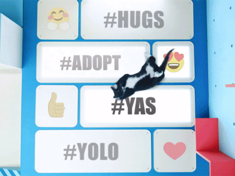 The Meme Machine for Shelter Pets goofy emoji set design adopt surreal whimsical contraption yas kitten cat
