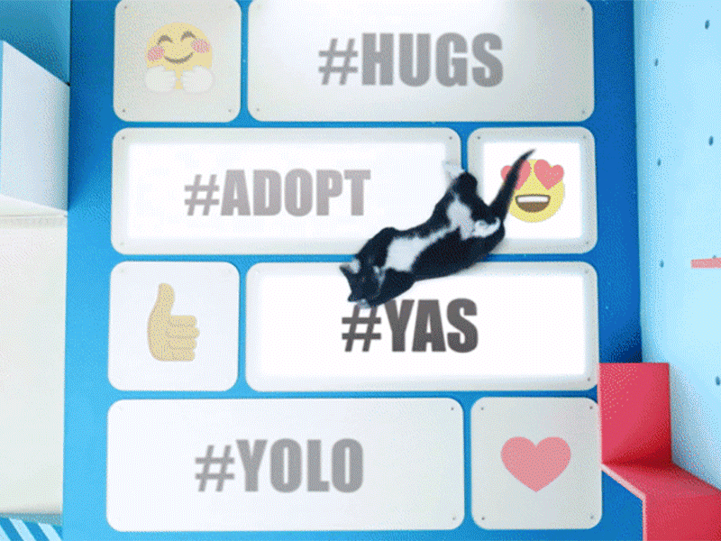 The Meme Machine for Shelter Pets adopt cat contraption emoji goofy kitten set design surreal whimsical yas