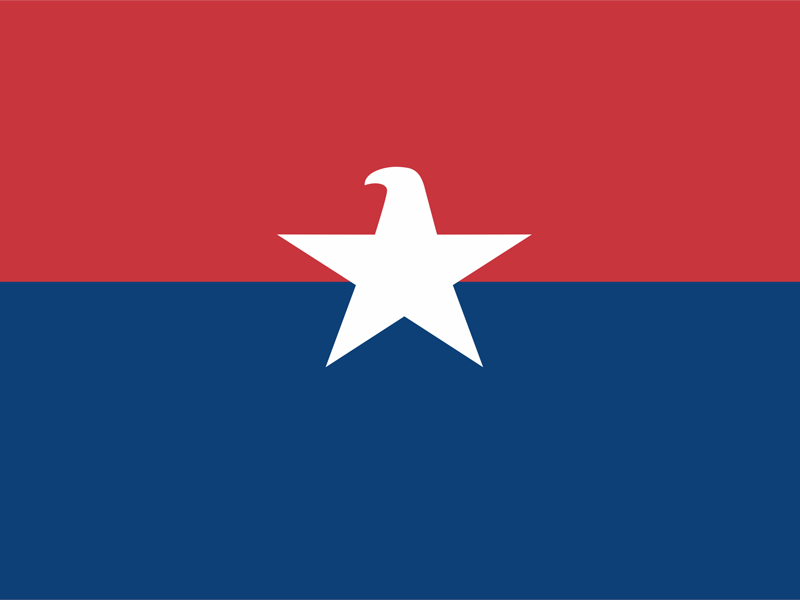 Eagle American Star army avio america eagle american logo logo design branding brand symbol communication agency pavel surovy logo designer