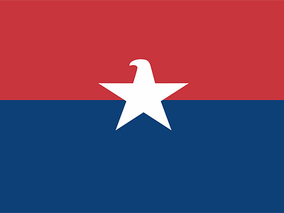 Eagle American Star america eagle american army avio brand branding communication agency logo logo design logo designer pavel surovy symbol