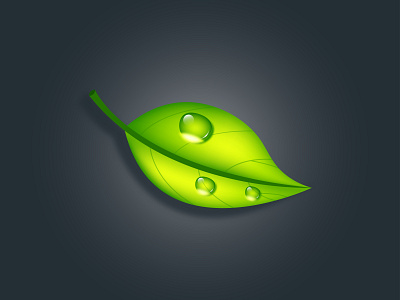 A leaf with drops. design dribbble drop drops green greeny illustraion landscape leaf logo nature shadow summer sweety trees vector vitamins water